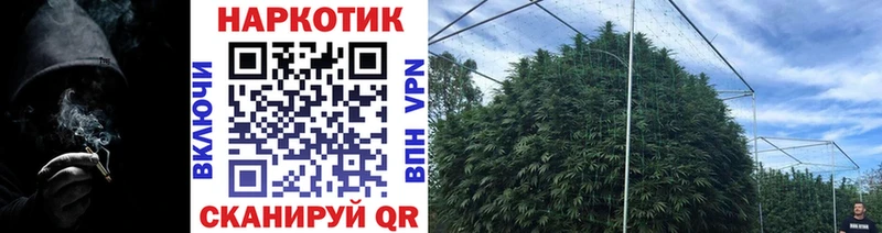 Купить наркотик аптеки Волжск Псилоцибиновые грибы Cocaine АМФ МДМА ГАШИШ Альфа ПВП Бошки Шишки