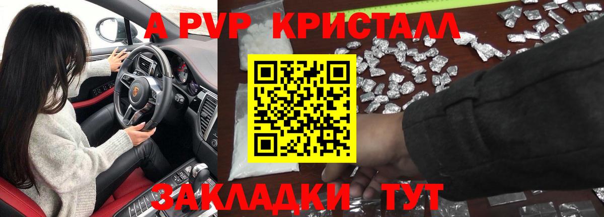 A PVP СК КРИС Волжск