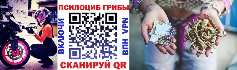 KRAKEN зеркало даркнет какой сайт Галлюциногенные грибы Cubensis Волжск