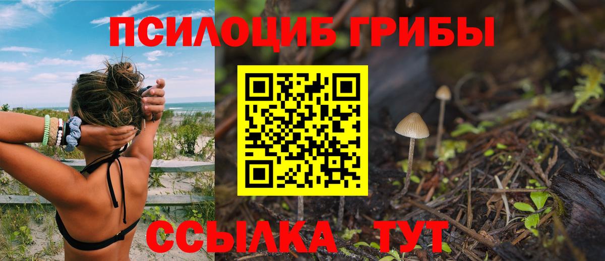 Галлюциногенные грибы мухоморы Волжск