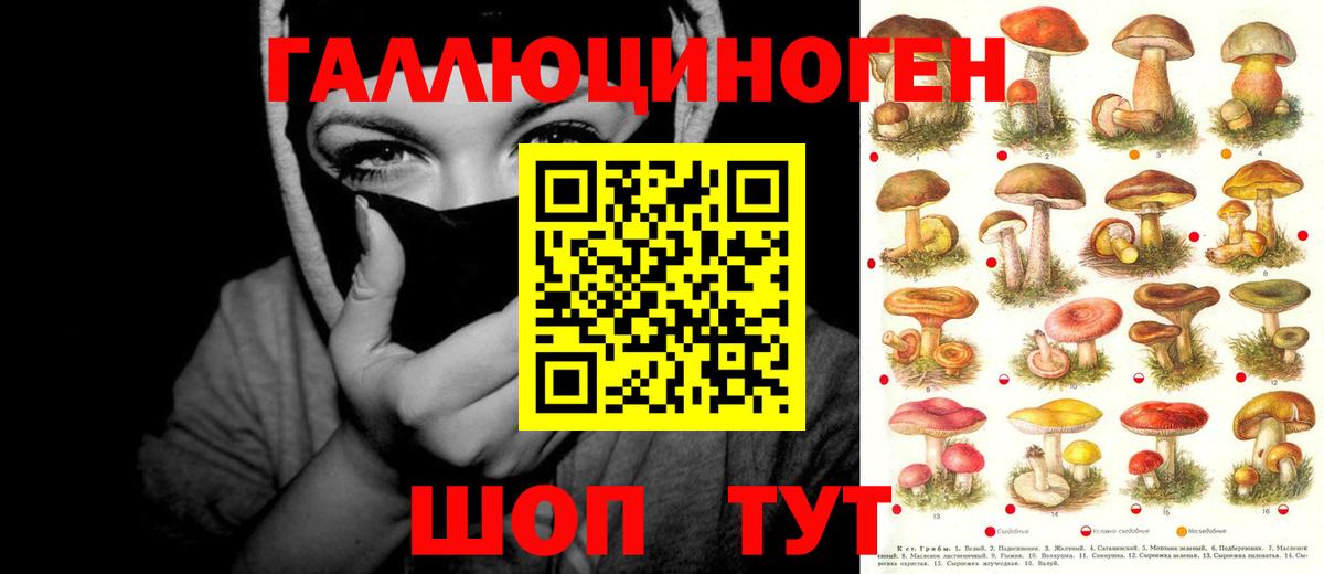 Волжск  Галлюциногенные грибы Cubensis  Вход с VPN 