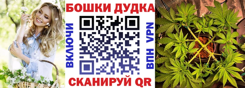 Конопля ГИДРОПОН  KRAKEN ONION  Волжск 